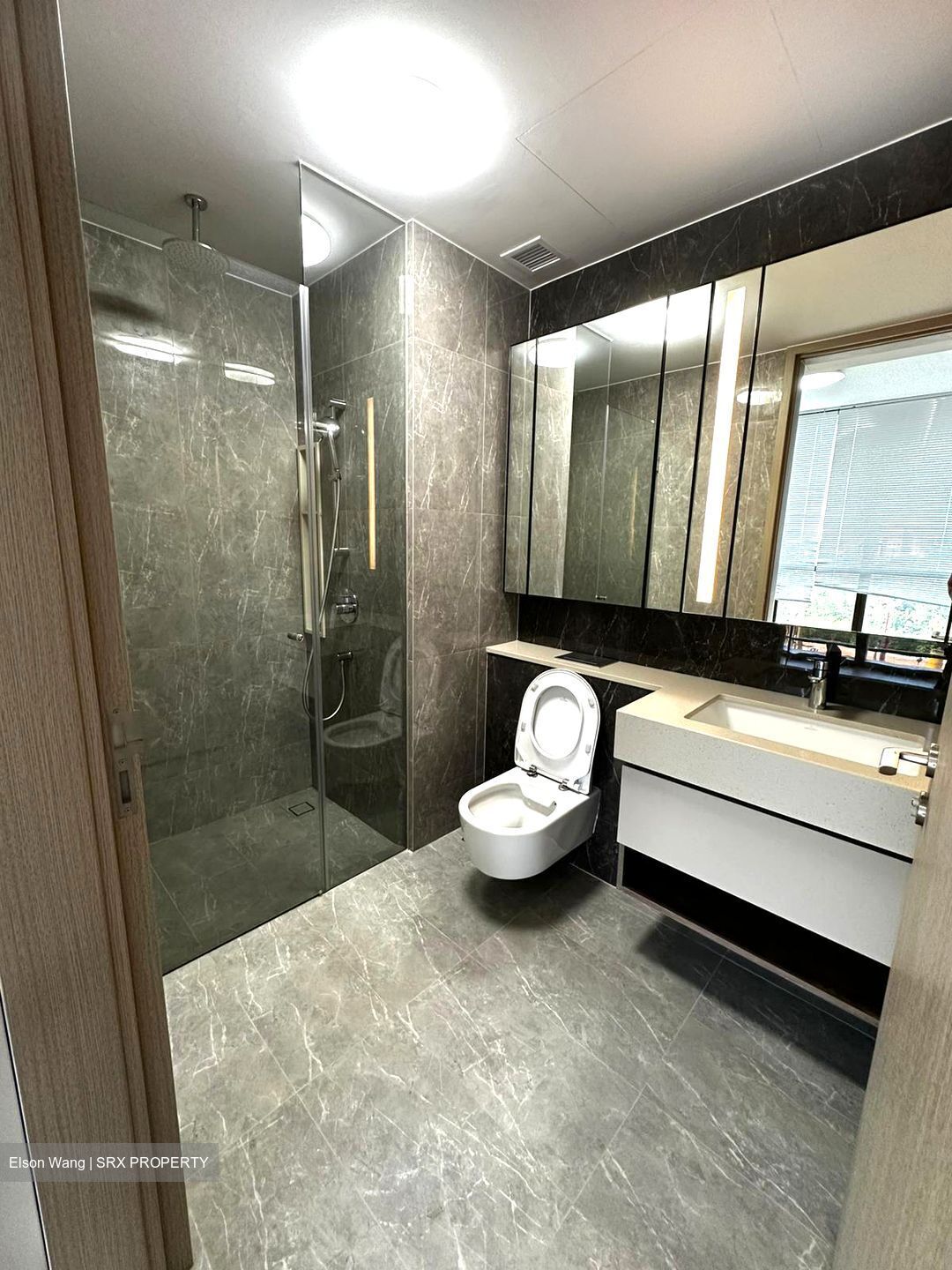 Dairy Farm Residences (D23), Apartment #523302041